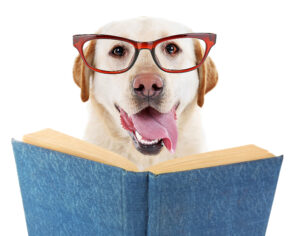 reading to your dog
